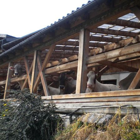 Weberhof Villa Тринц Екстериор снимка