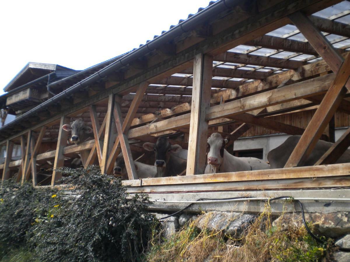 Weberhof Villa Тринц Екстериор снимка